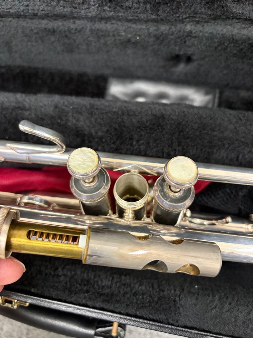 ぽぽちゃん バックトランペット