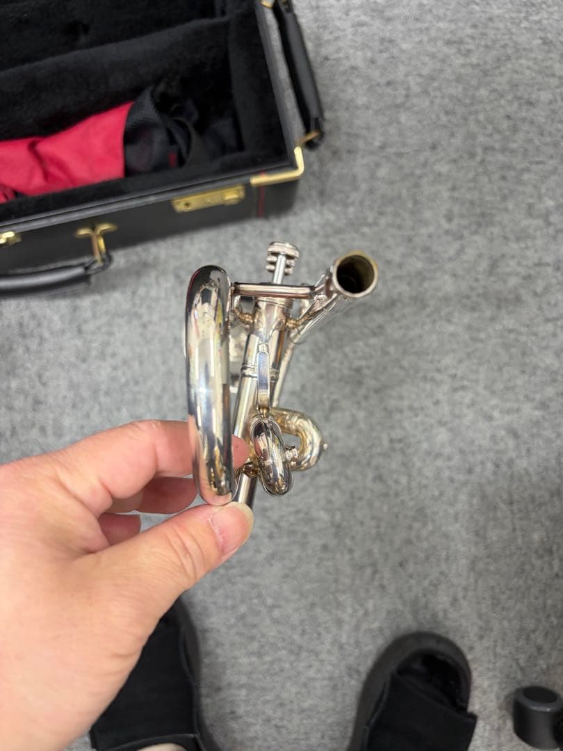 ぽぽちゃん バックトランペット