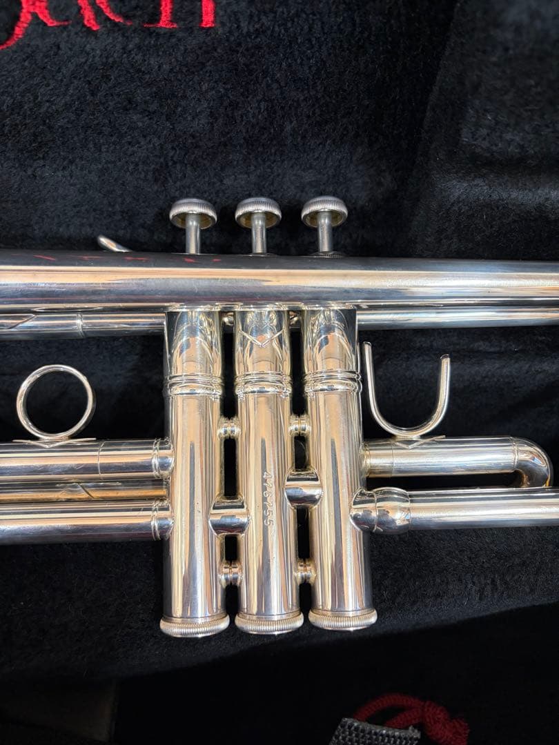 ぽぽちゃん バックトランペット