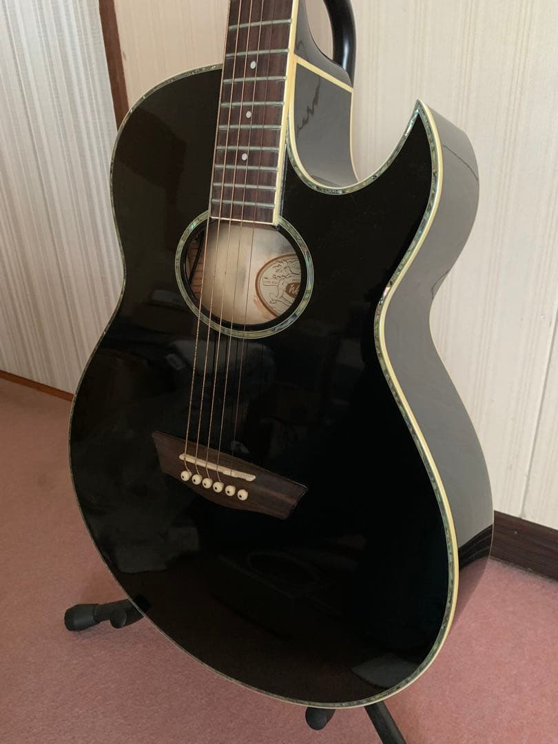 washburn/ワッシャバーン エレアコ ヌーノベッテンコート