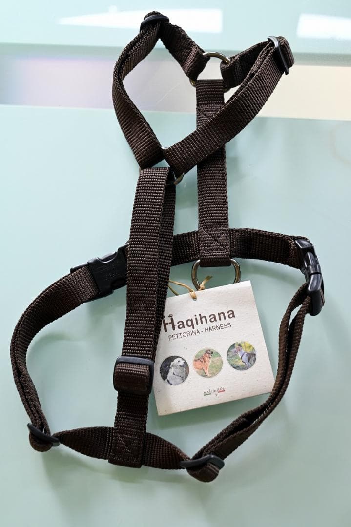 Haqihana ハーネス チョコレートSLサイズ