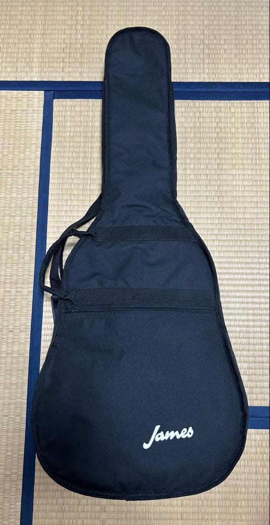 James J-300D NAT アコースティックギター ギグバッグ付き