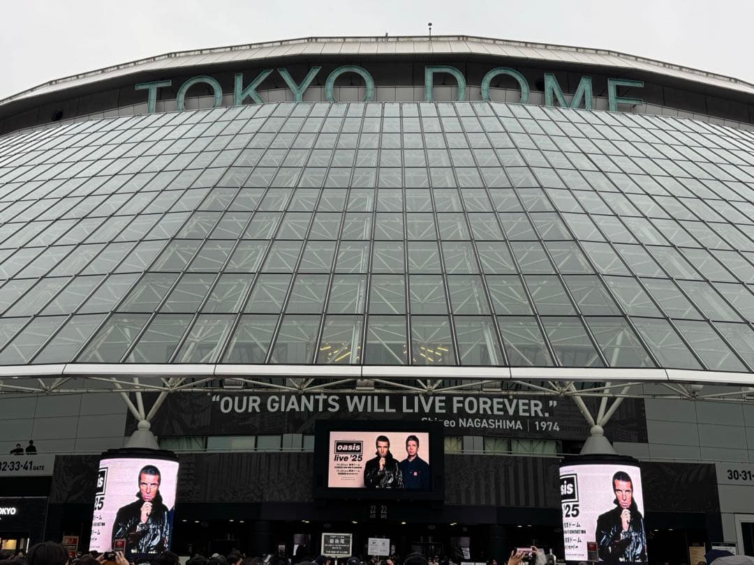 Oasis Live 25メモリアルチケット＆限定クリアファイル 2枚セット連番