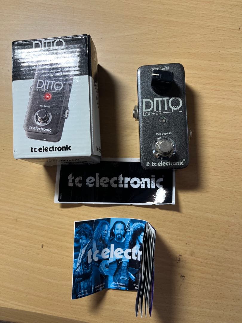 tc electronic DITTO LOOPER 箱付き