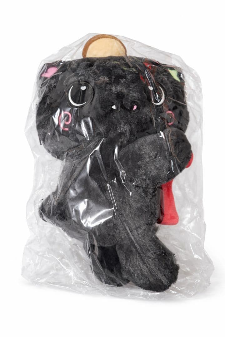 nct wish リク キャラクターバッグ クリ 新品未開封 トレカつき