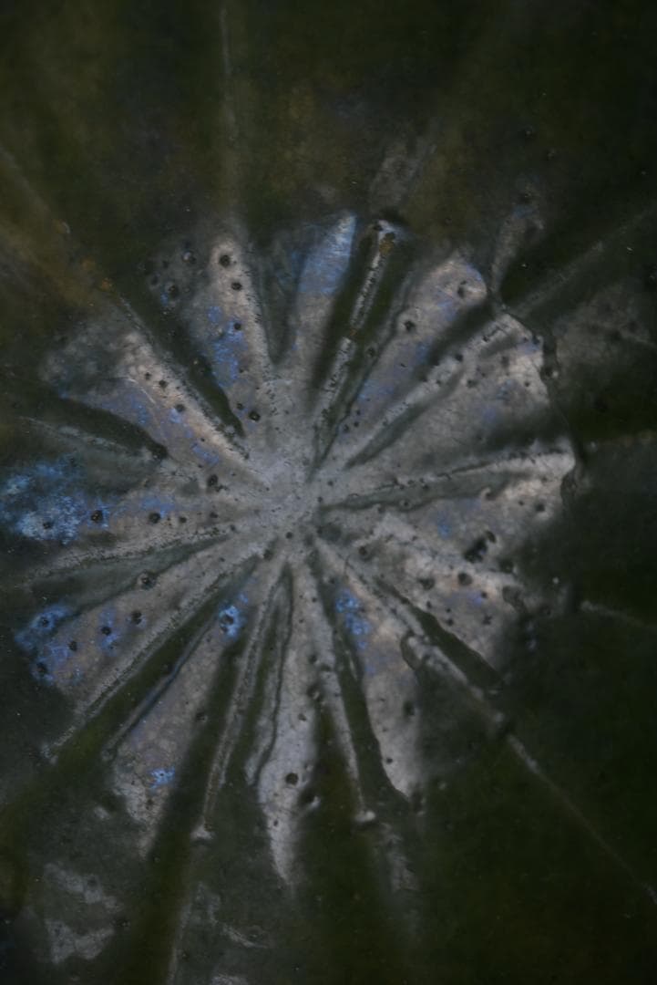 美品　眺めの良い輪花鉢　フランスアンティーク　西洋民藝　19世紀