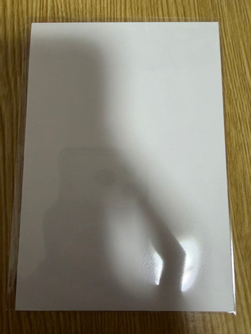 乃木坂46 瀬戸口心月 My respect 封入生写真 訳あり