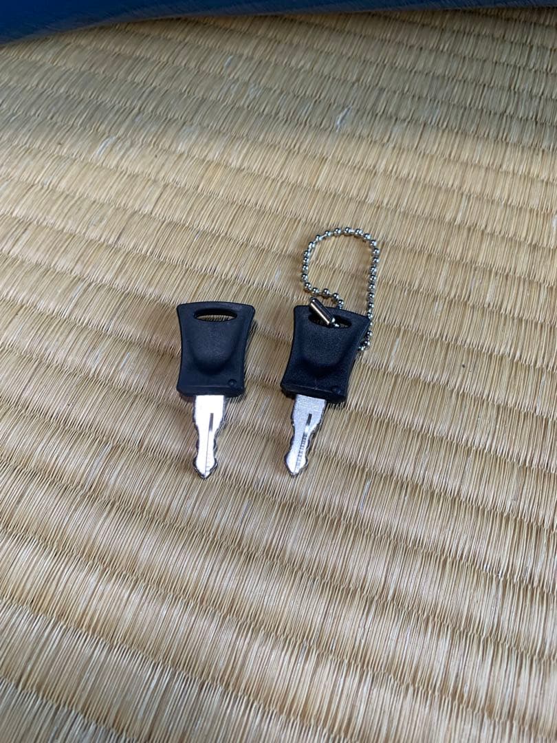 【早い者勝ち】大型ハードシェルキャリーケース 青