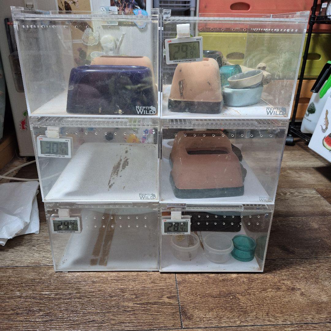 ポッチャマ中古レプタイルボックス 6個セット