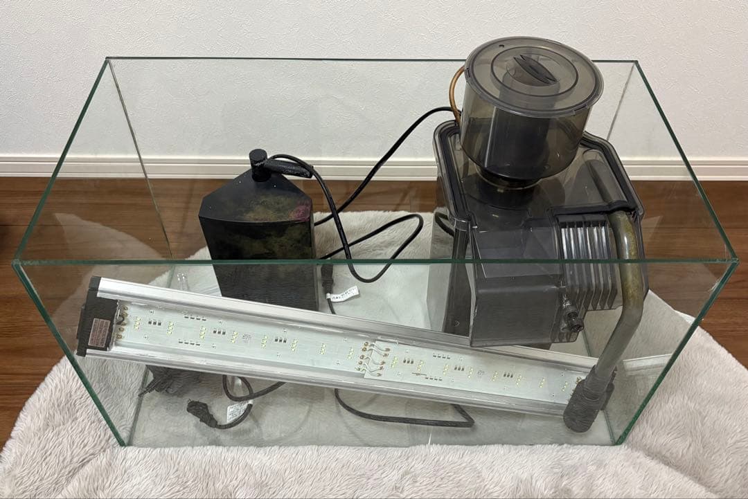 カミハタ 海道達磨 水槽60cm LEDライトセット