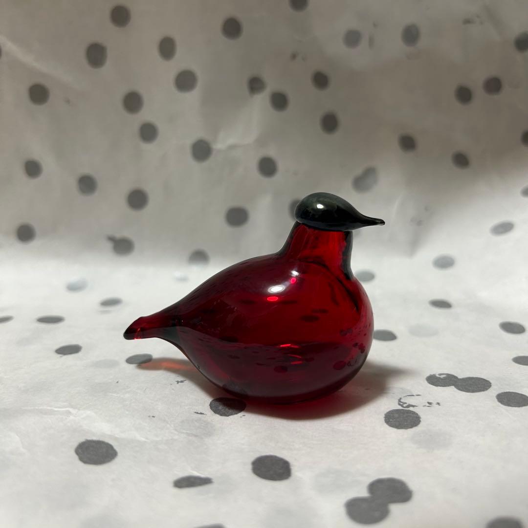 nuutajarvi＊GoldenCrestedKinglet＊オイバトイッカ