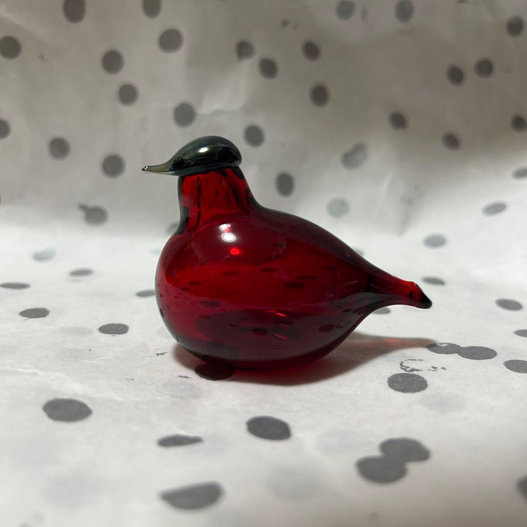 nuutajarvi＊GoldenCrestedKinglet＊オイバトイッカ