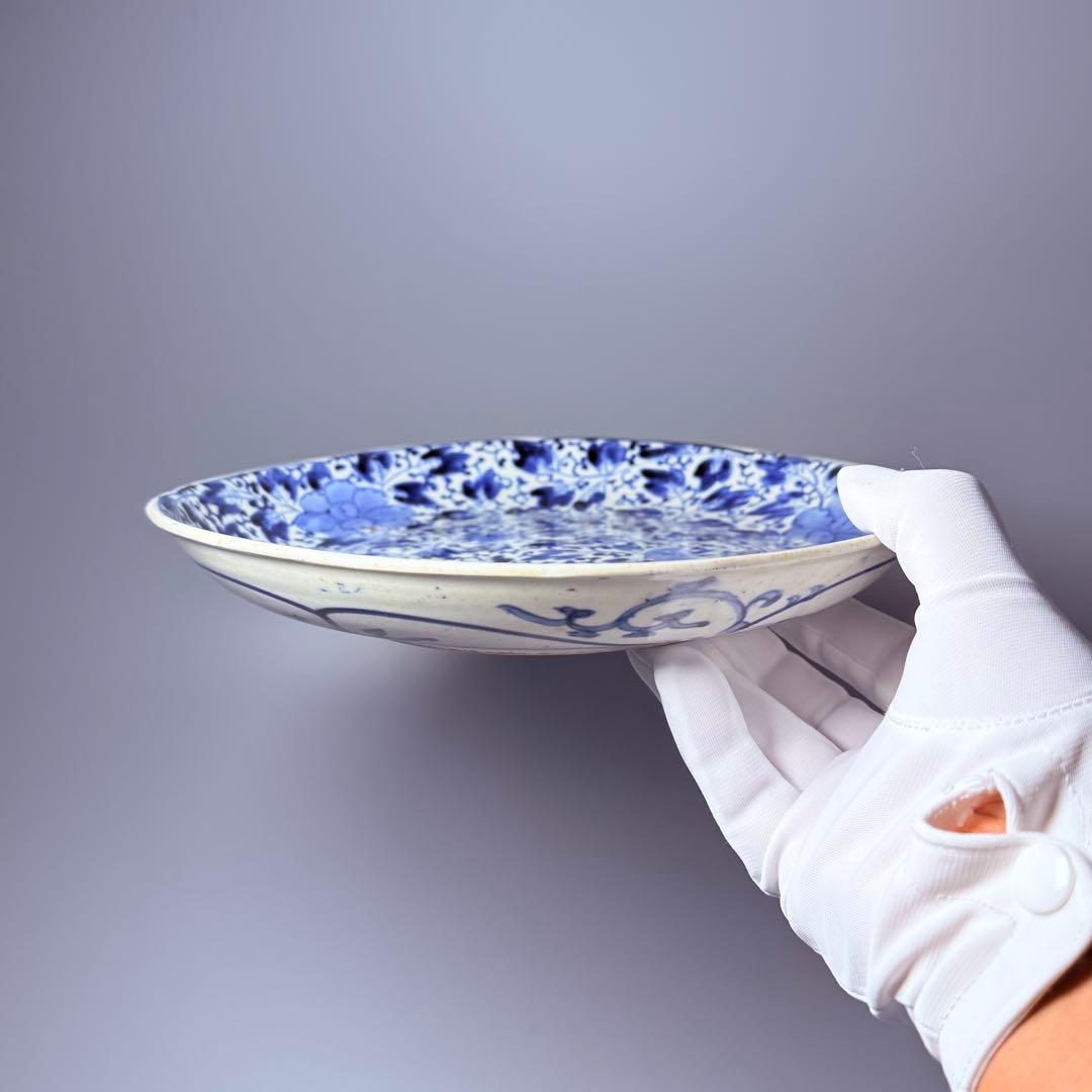 江戸後期　藍柿右衛門　「染付花草文様八寸皿」　渦福　博物館級　状態良し