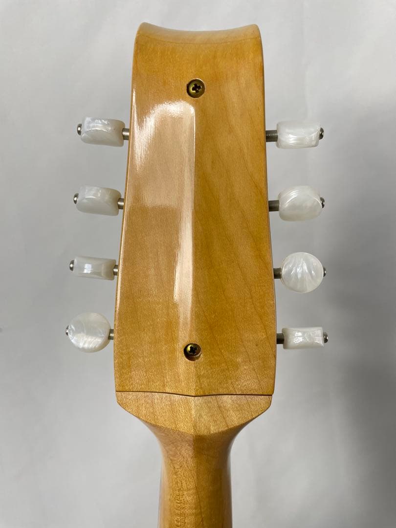 SUZUKI/スズキ クラシックマンドリン M-100