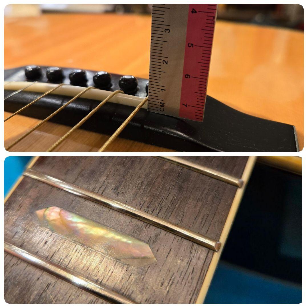 希少 TF MORRIS W-50 アコースティックギター ビンテージ