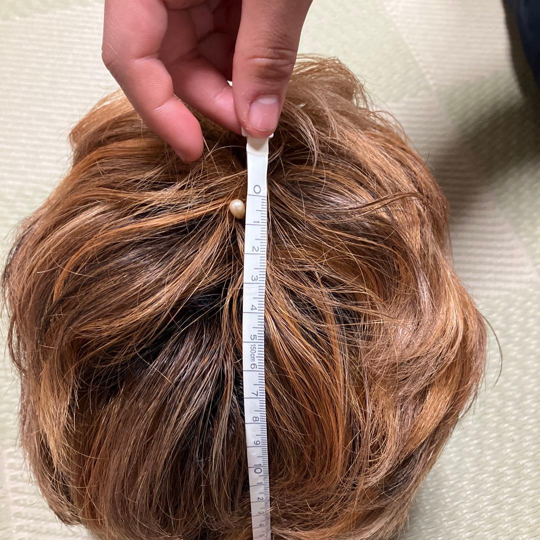 morefleur モアフルール ウィッグ 人毛混 ブラウン系 クリップ付き中古