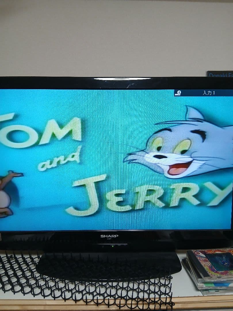 藤山 レコーダーDMRーEX200V HDD/DVD/VHS 完動品