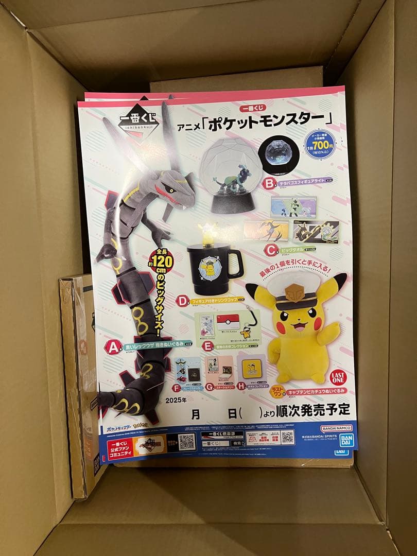 ポケモン　1番くじ　ロット販売