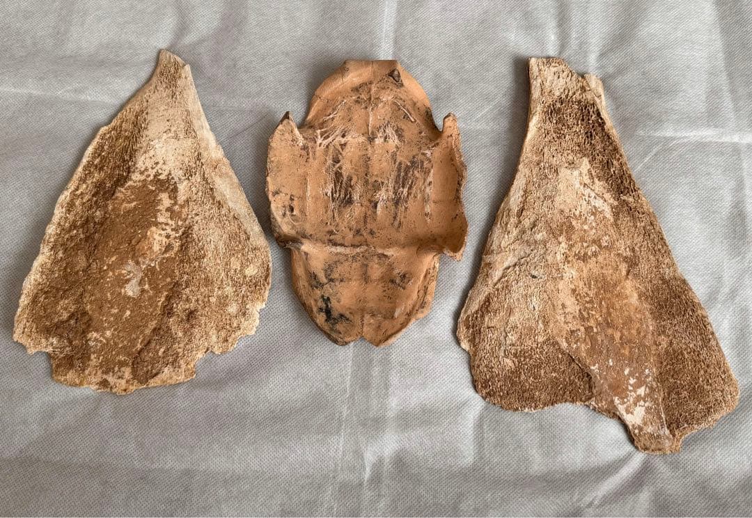 甲骨文字 中国 彫刻 古代文字 資料 時代物 アンティーク 計403g 3個