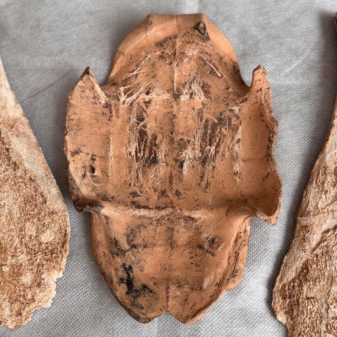 甲骨文字 中国 彫刻 古代文字 資料 時代物 アンティーク 計403g 3個