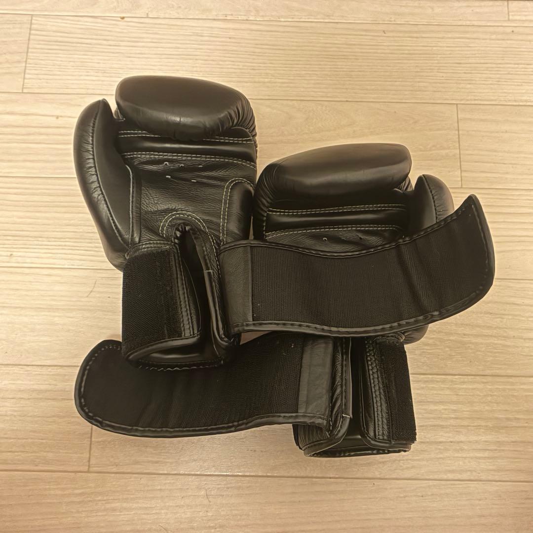 TWINS 8オンス　 ツインズ　ボクシング グローブ ウインディ　キック