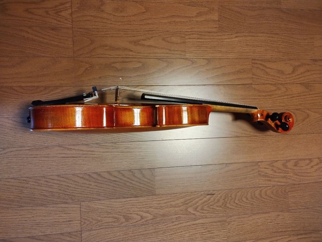 カール・ヘフナー　ヴィオラ 本体 ＋いろいろセット