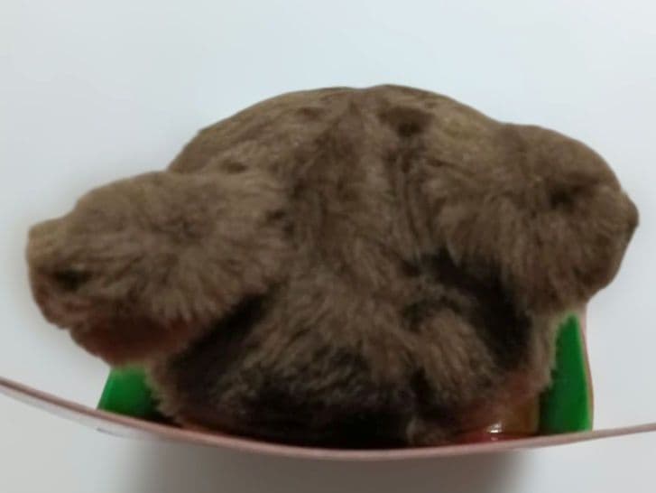 モンチッチ フレンズ　クマ　ぬいぐるみ