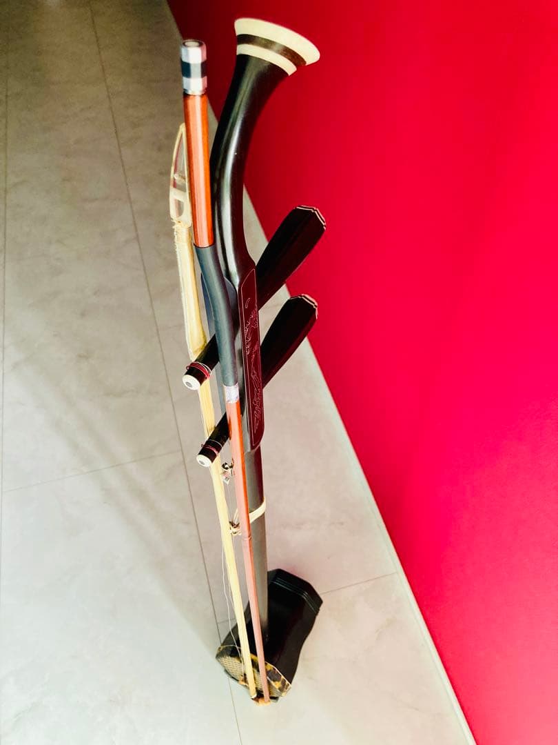 古月琴坊　二胡 ER-800 （ケース付き）+ 教本2冊、練習用DVD