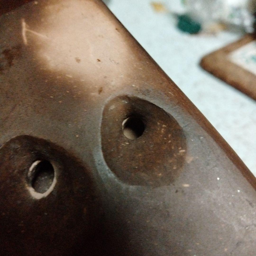 サニーレオパルドさん専用 初代オオサワ ナチュラル