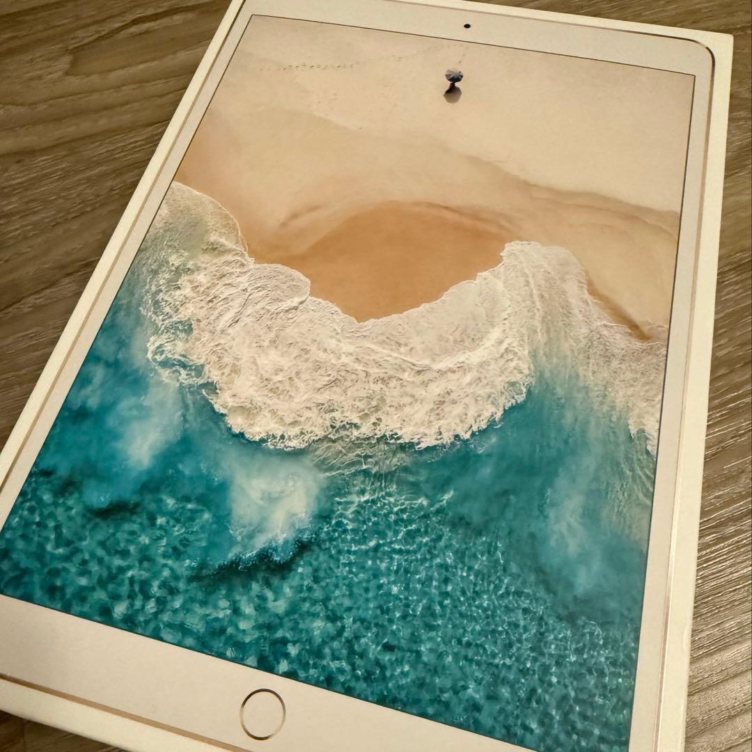 iPad Pro 10.5インチ Wi-Fi Cellular 256GB