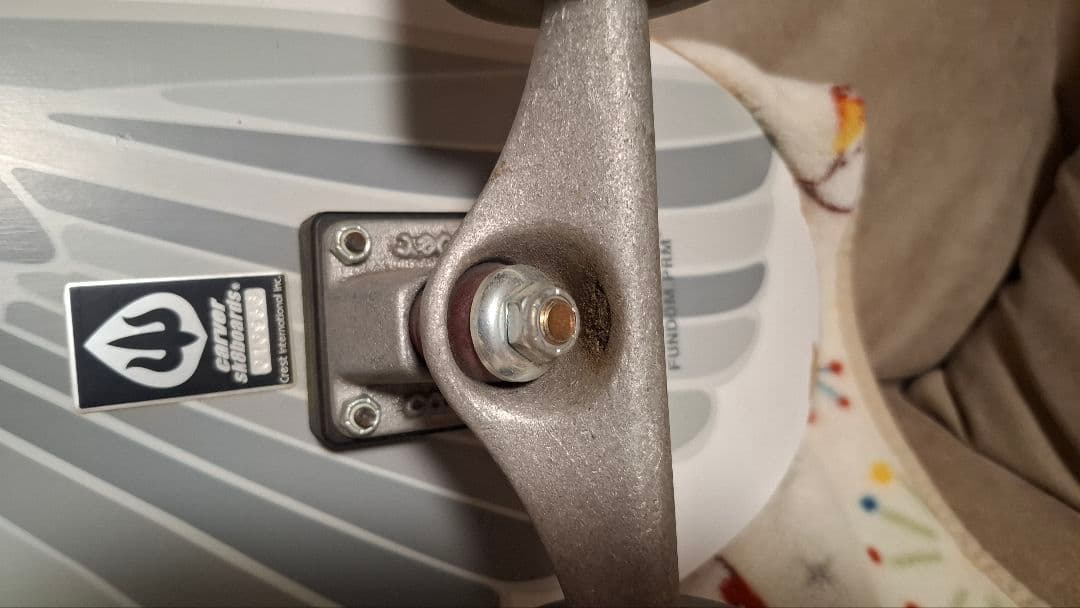 ポ*ン様 Taylor Knox スケートボード Carver コンプリート