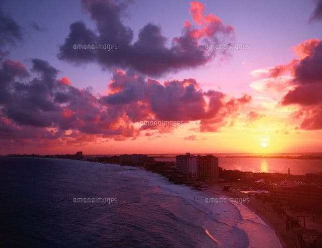 ✦ゆいとまんクエルボ1800アネホ✦新品未開封品2本セット