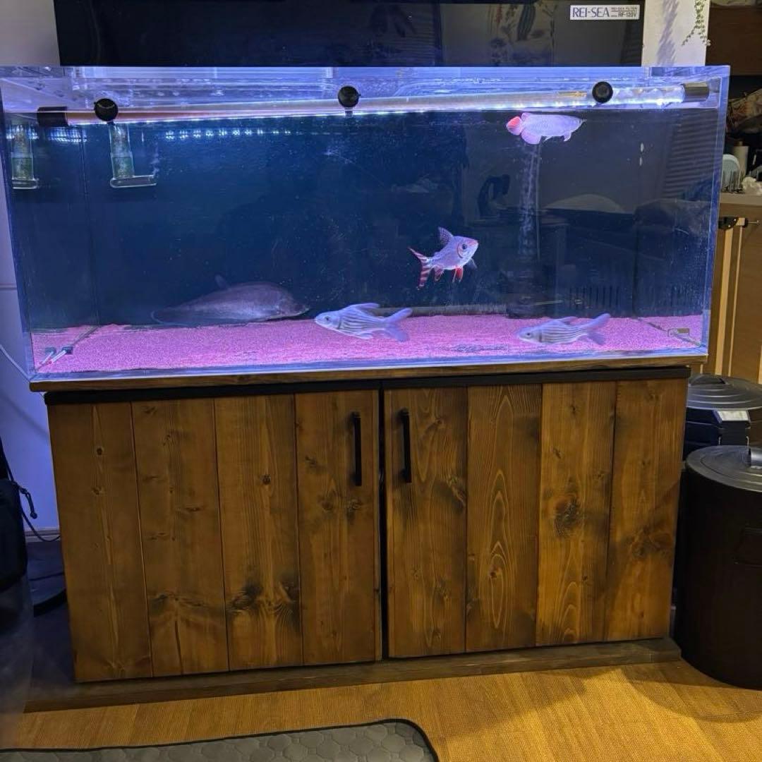 shunpi　水槽　水槽セット　1200 600 h500 神奈川　手渡し