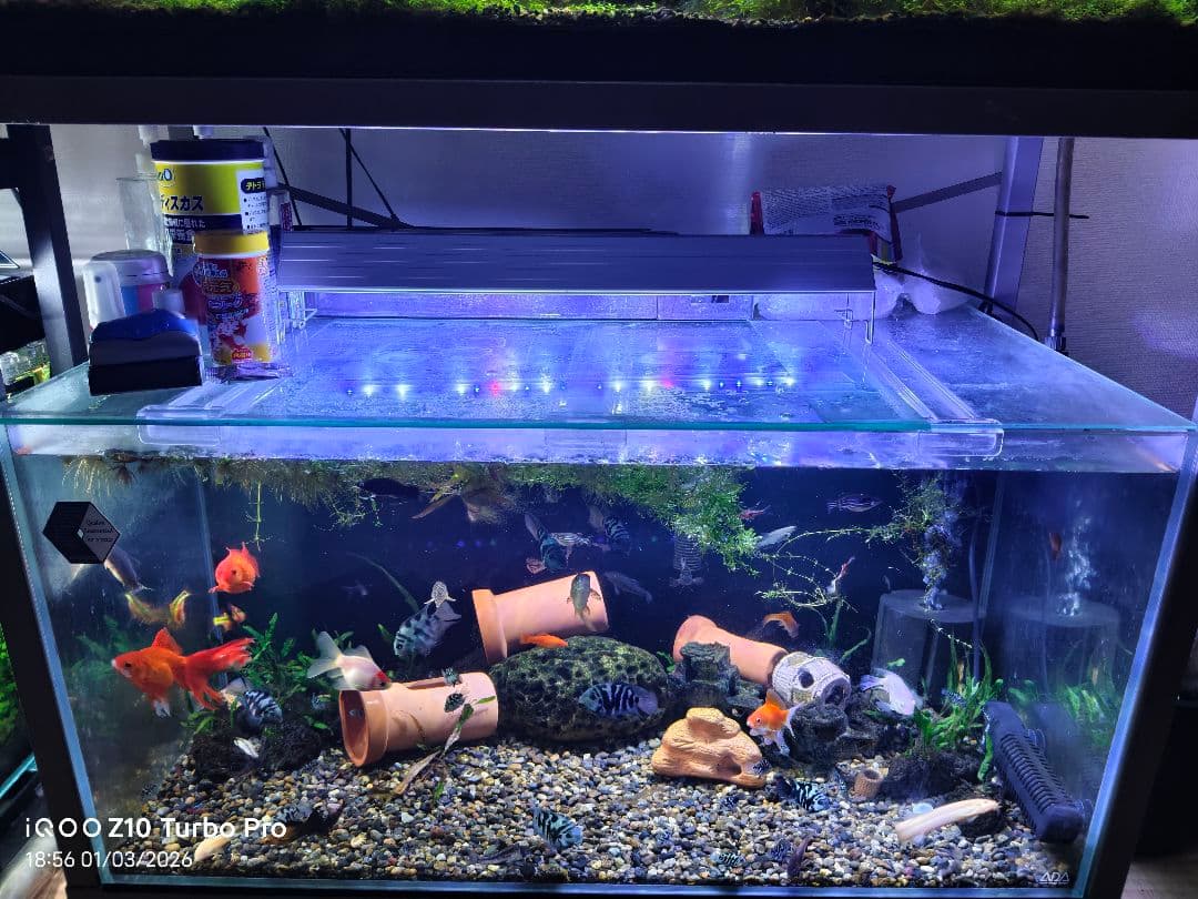 ADA 90×45×45cm水槽＋GEX水槽台＋上部フィルター