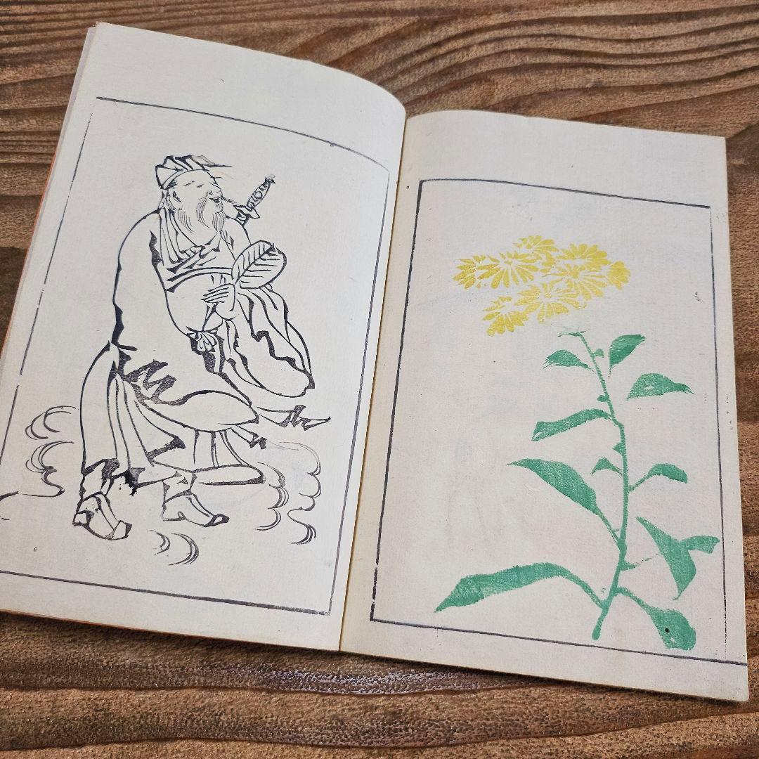 to9386 和本 讃料画図 蕙斎麁画 四編 絵手本 彩色木版画 絵本 古文書