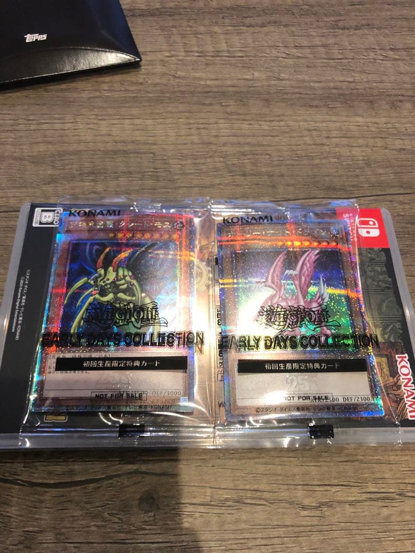 遊戯王アーリーデイズコレクション特典カード　ホーリーナイトドラゴン　グレートモス