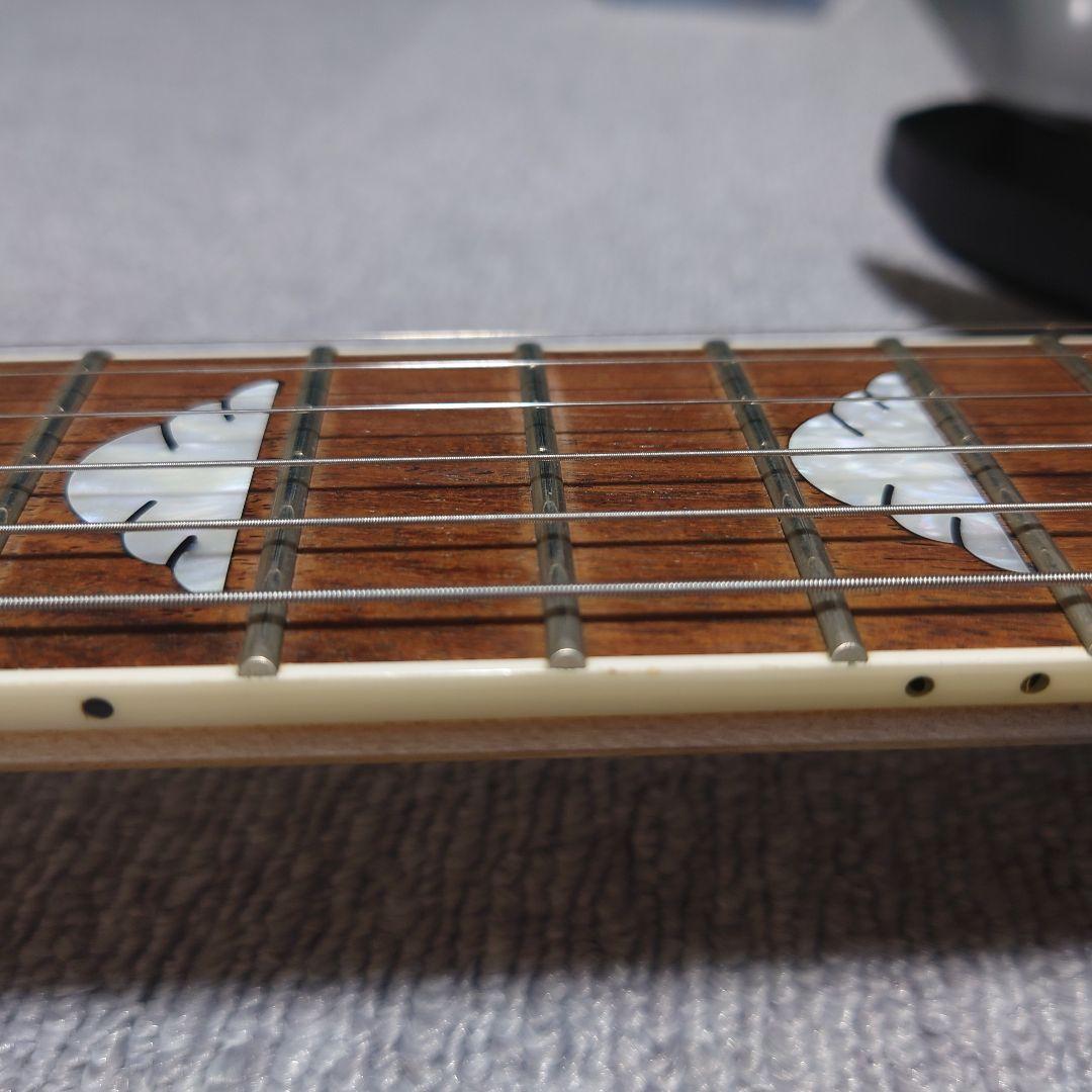 FERNANDES Burny MGスルーネック化MOD