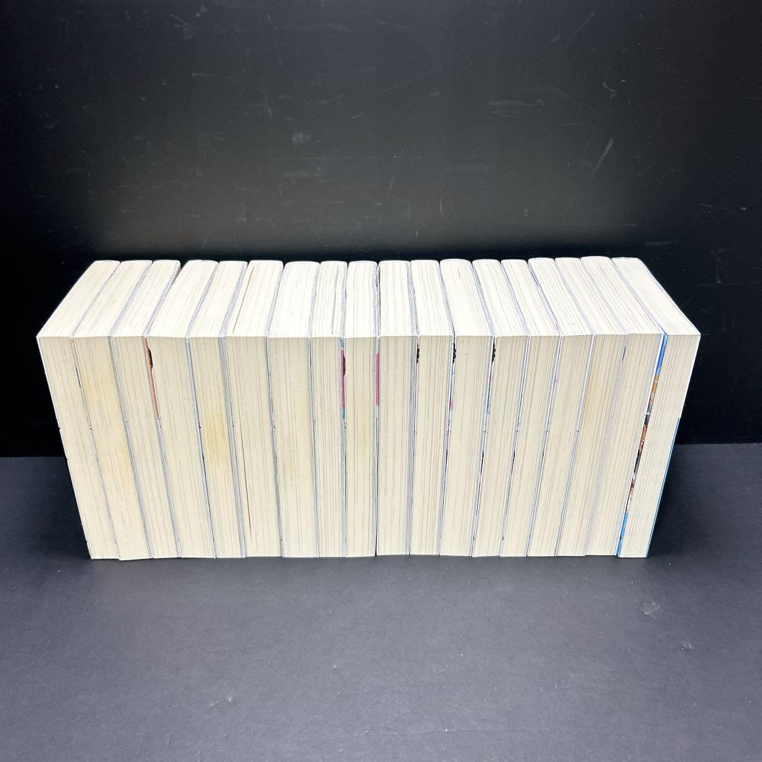 ティアムーン帝国物語 小説 全巻セット 17巻 おまけ1冊 餅月望