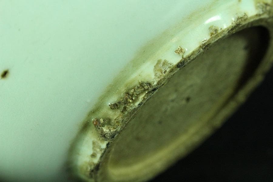 唐物 古染付 青花 青菜紋 皿 十件揃 虫喰い 中国(K-A408)