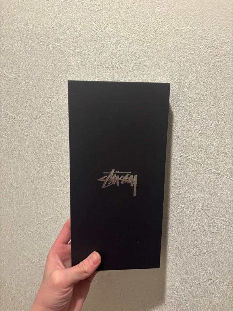 3日まで限定27500円 backseatMV keiju着用 stussy手袋