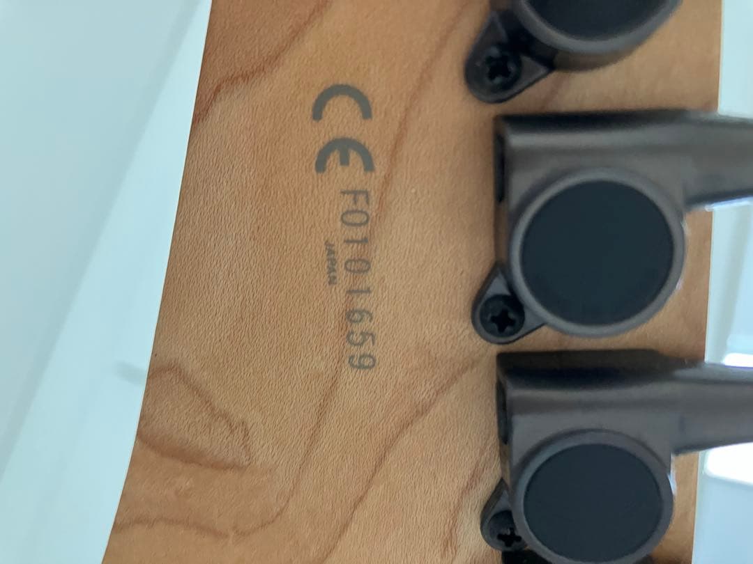 アイバニーズ　RG 7弦　フジゲン製