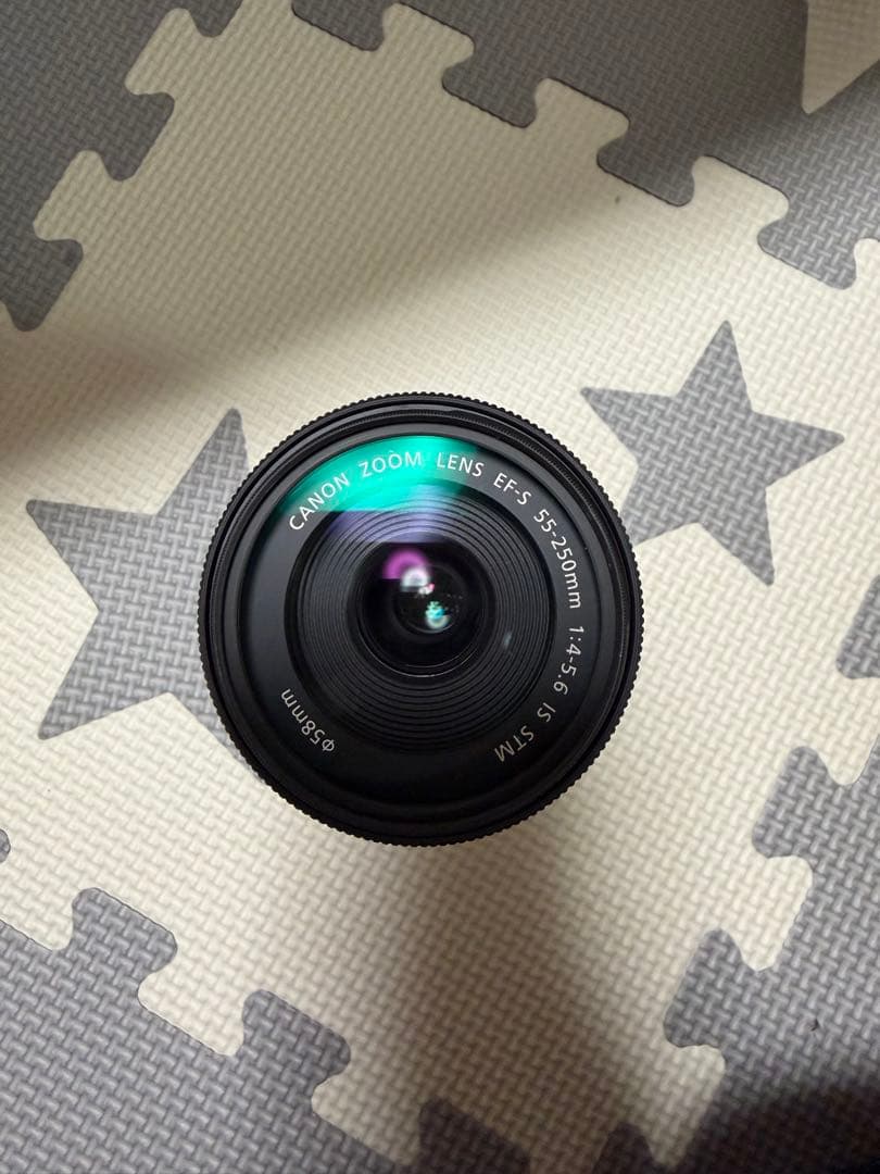 新品未使用 キャノン EF-S55-250mm F4-5.6 IS STM 望遠