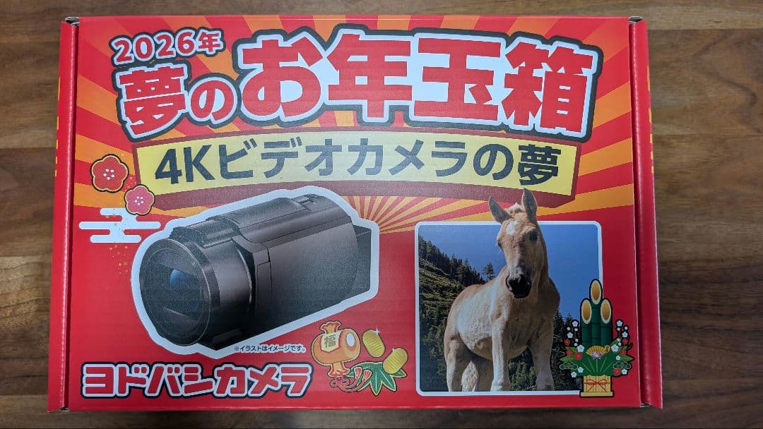 【新品】SONYビデオカメラFDR-AX45（ヨドバシ福袋4Kビデオカメラの夢）