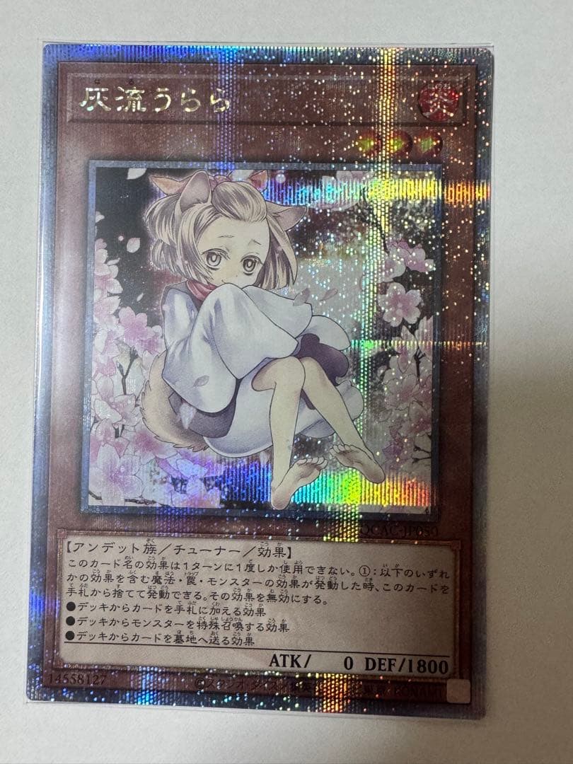 遊戯王 灰流うらら 絵違い QCAC 25thシークレット