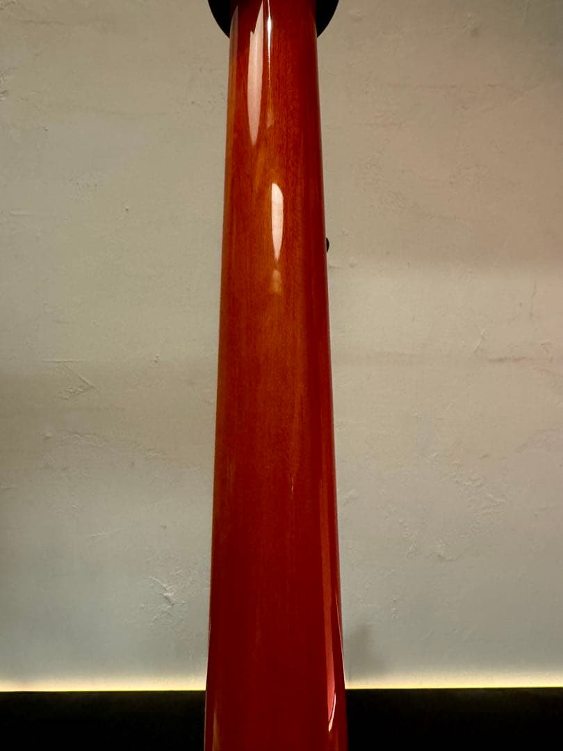 極美品　PRS Custom SE24 Exotic Burled Ash