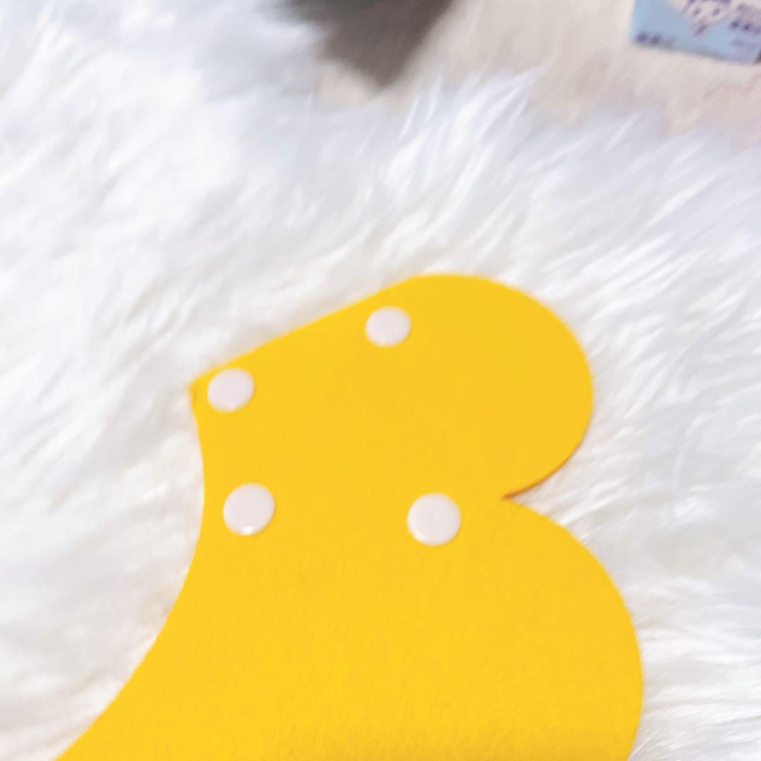 エリザベスカラー猫 犬 、猫 保護カバー、舐め防止、引っ掻き防止、Mサイズ