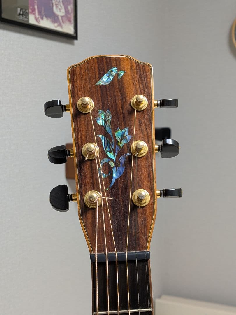 Morris S series s-102 シダー ローズウッド 単板