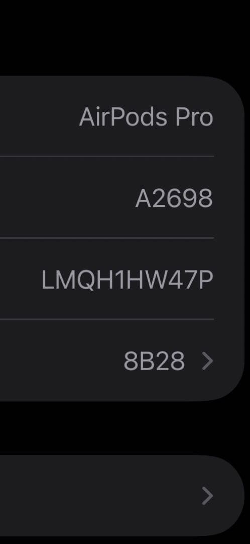 AirPods Pro 第2世代 Lightning 動作確認済み