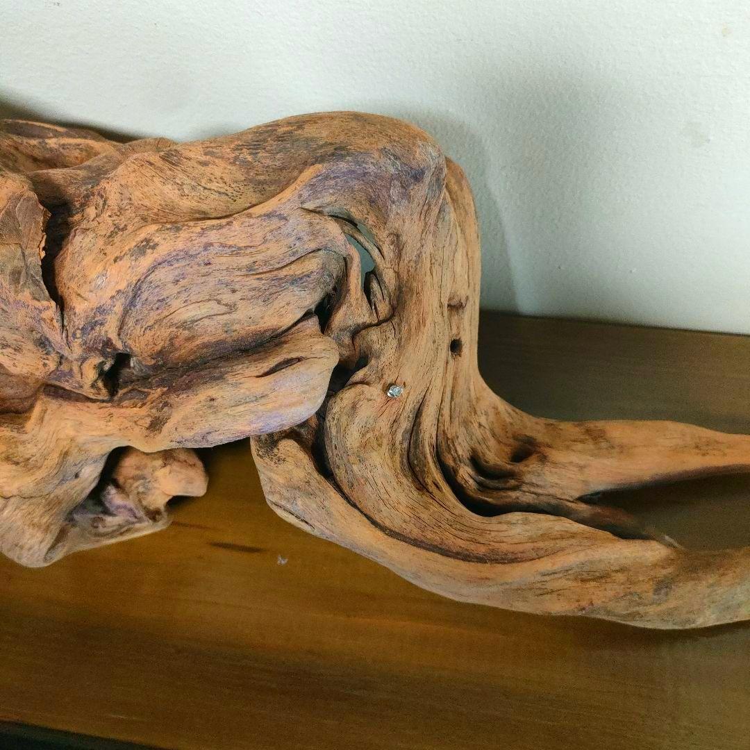 ADA ホーンウッド 流木