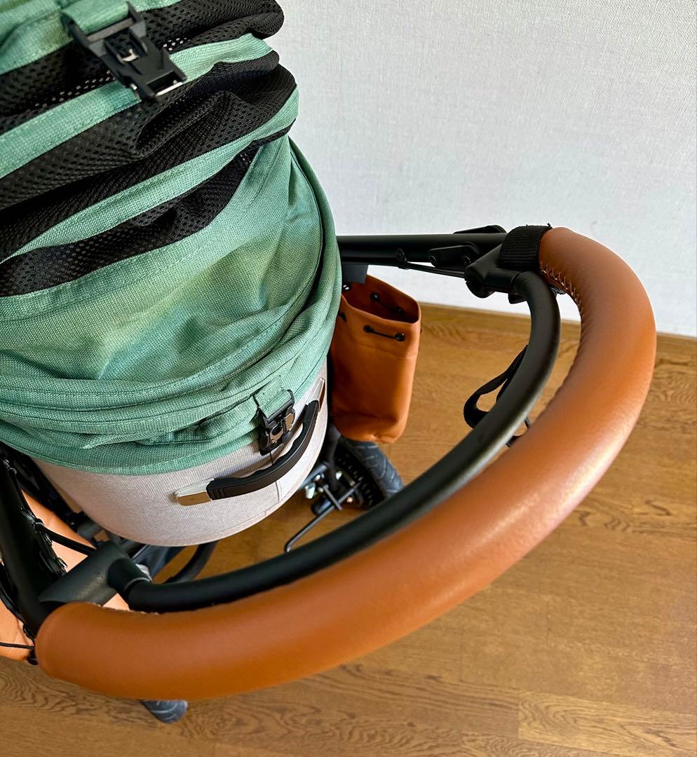 ペットカート AIRBUGGY DOME3 REGULAR CLOVER